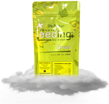Grow bag