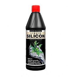Liquid Silicon