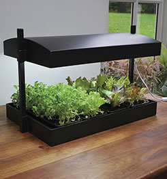 MICRO GROW LIGHT GARDEN