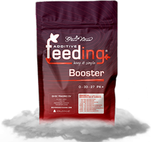 Booster