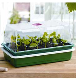 Garland One Top Electric Propagator