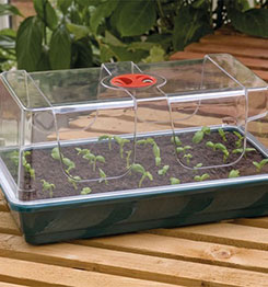 LARGE HIGH DOME PROPAGATOR