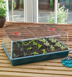 XL HIGH DOME PROPAGATOR