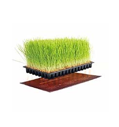 Rejilla de calefacción I CLONE 15W 35 х 20 sm