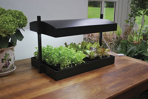 MICRO GROW LIGHT GARDEN